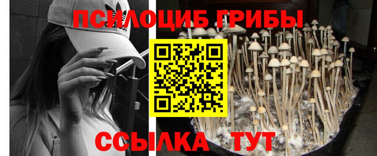 Псилоцибиновые грибы мухоморы  Псилоцибиновые грибы GOLDEN TEACHER  цены наркотик  Крымск  Вход с VPN 